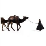 Yatir Nitzany Jordan Travel Guide Arabic Language-0