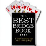 Bridge Book Kindle Edition English Language Enhanced-0