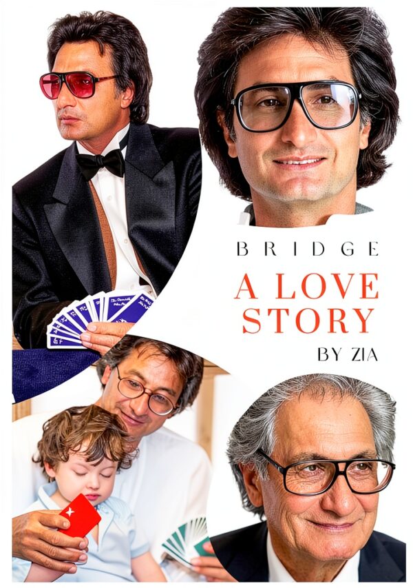 Bridge Strategy Book English Edition Kindle Unlimited-0