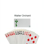 Afrodisa Press Bridge Book Kindle Edition English Language-0