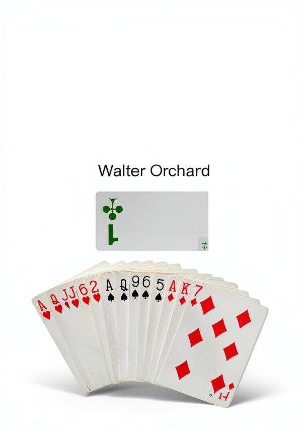 Afrodisa Press Bridge Book Kindle Edition English Language-0