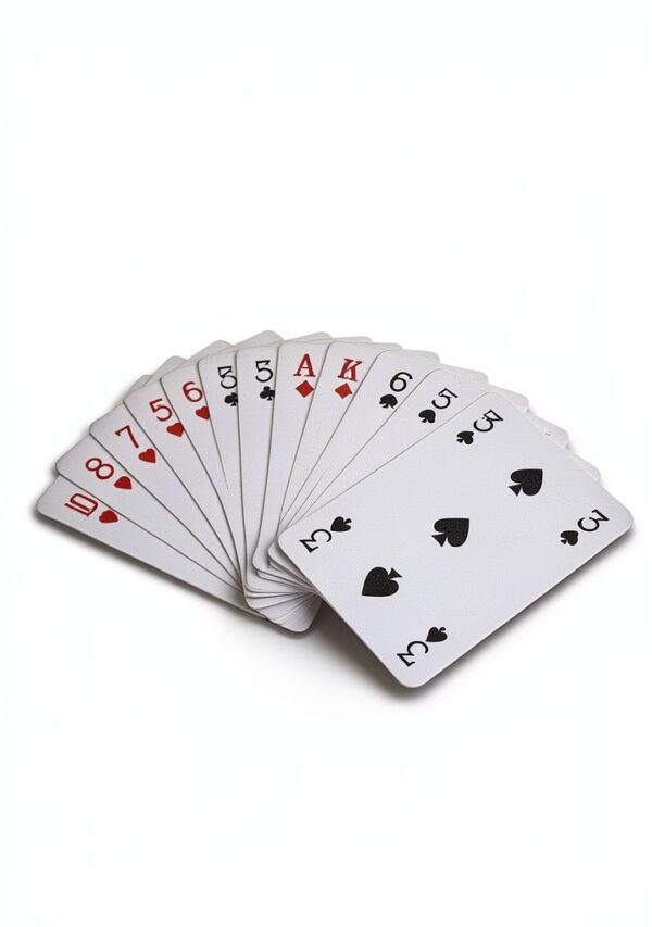 Bridge Book Kindle English Learning Game Strategy Guide-0