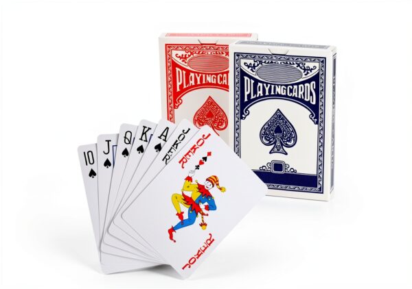 LUOBAO Poker Chips Set Casino Quality Texas Holdem Games-4