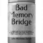 Bridge Kindle Book English Edition Second Edition 35 Pages-0