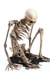 Bridge Book Master Point Press English Kindle Edition-0