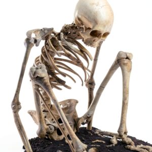 Bridge Book Master Point Press English Kindle Edition-0